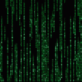 173fbed1fd34fd3fc02030f8.gif!custom